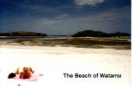 Beach of Watamu
